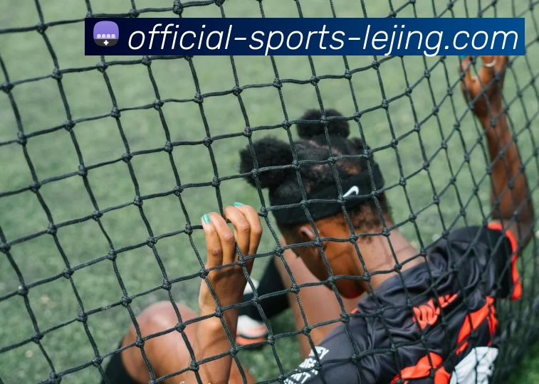 乐竞体育平台生态图